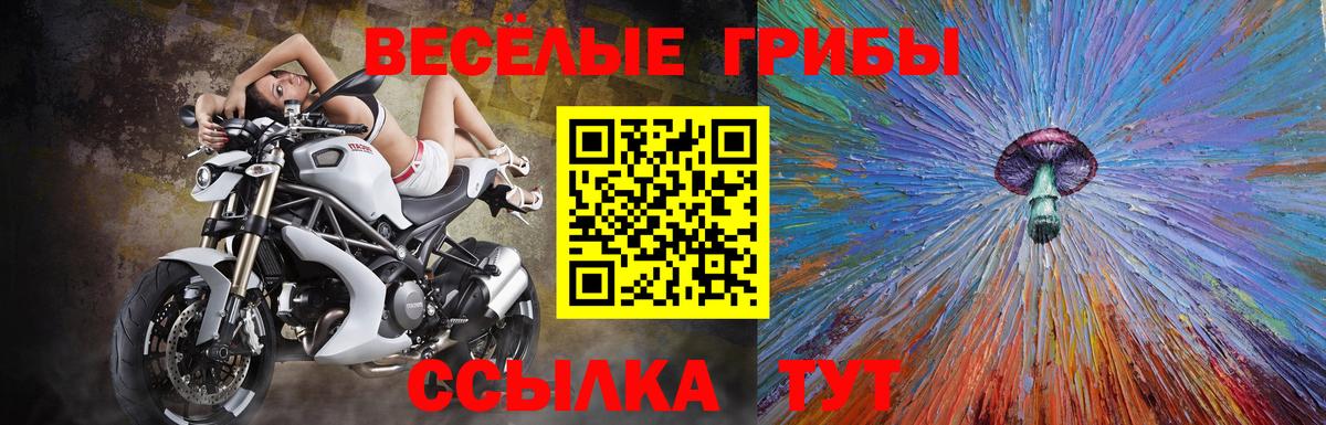 Псилоцибиновые грибы прущие грибы Полысаево