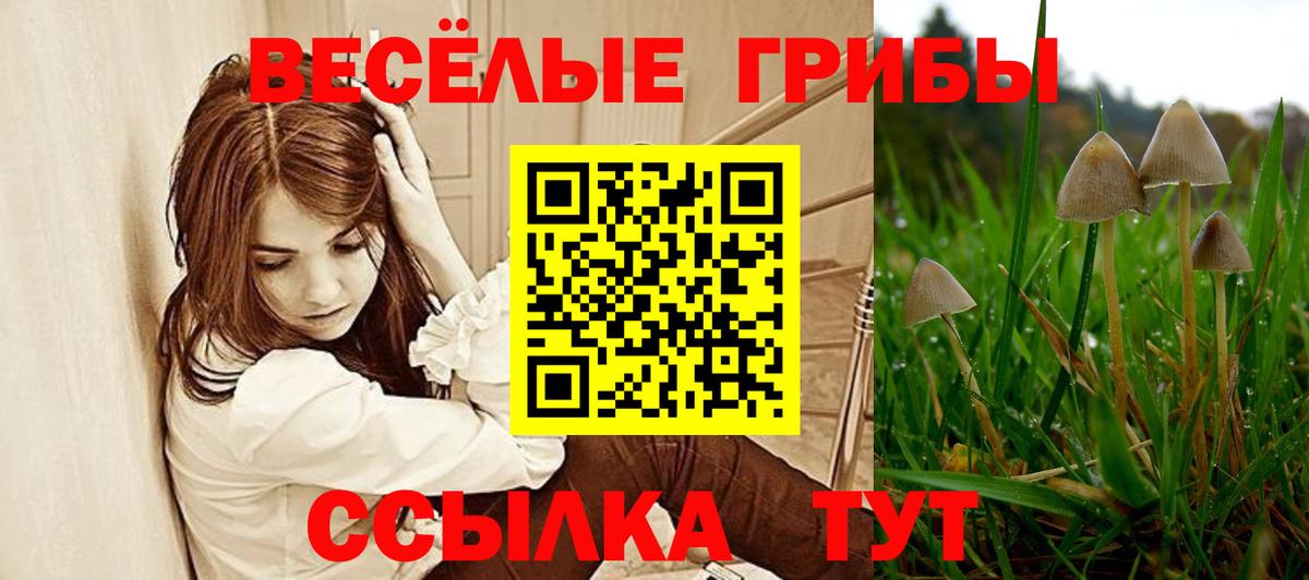 МЕФ Полысаево